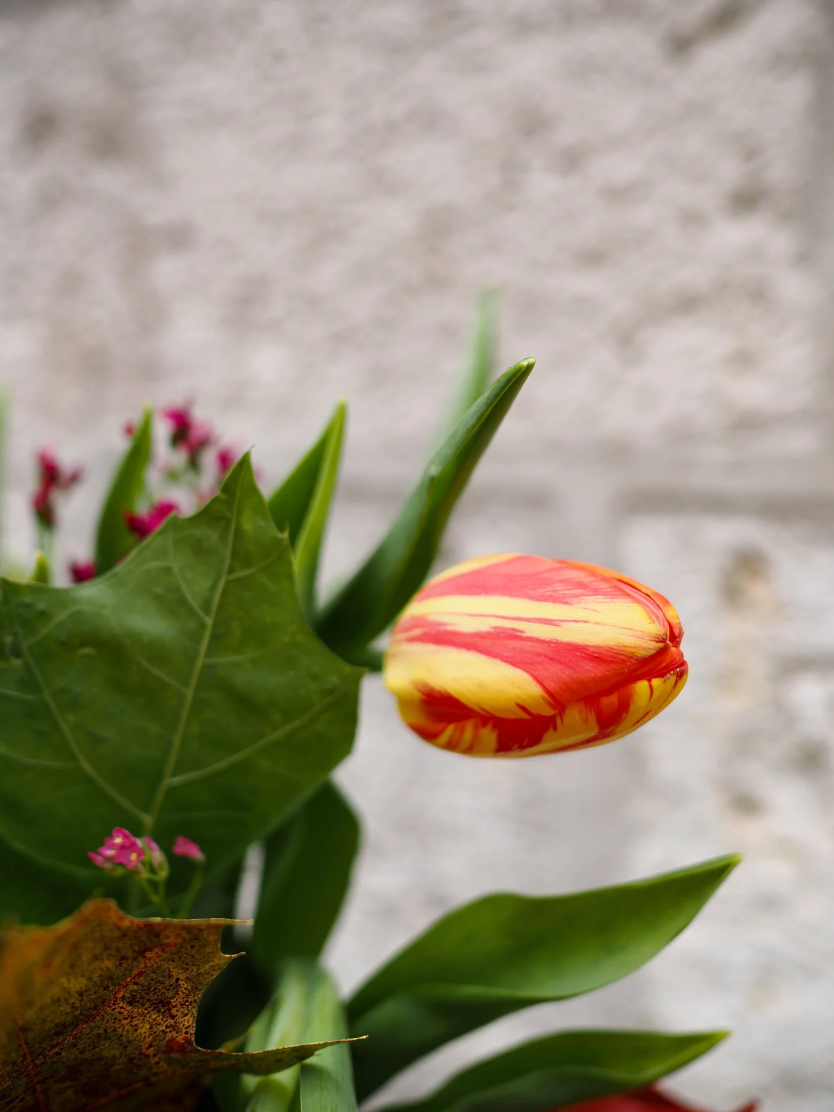 Ramo de Tulipanes Naranjas