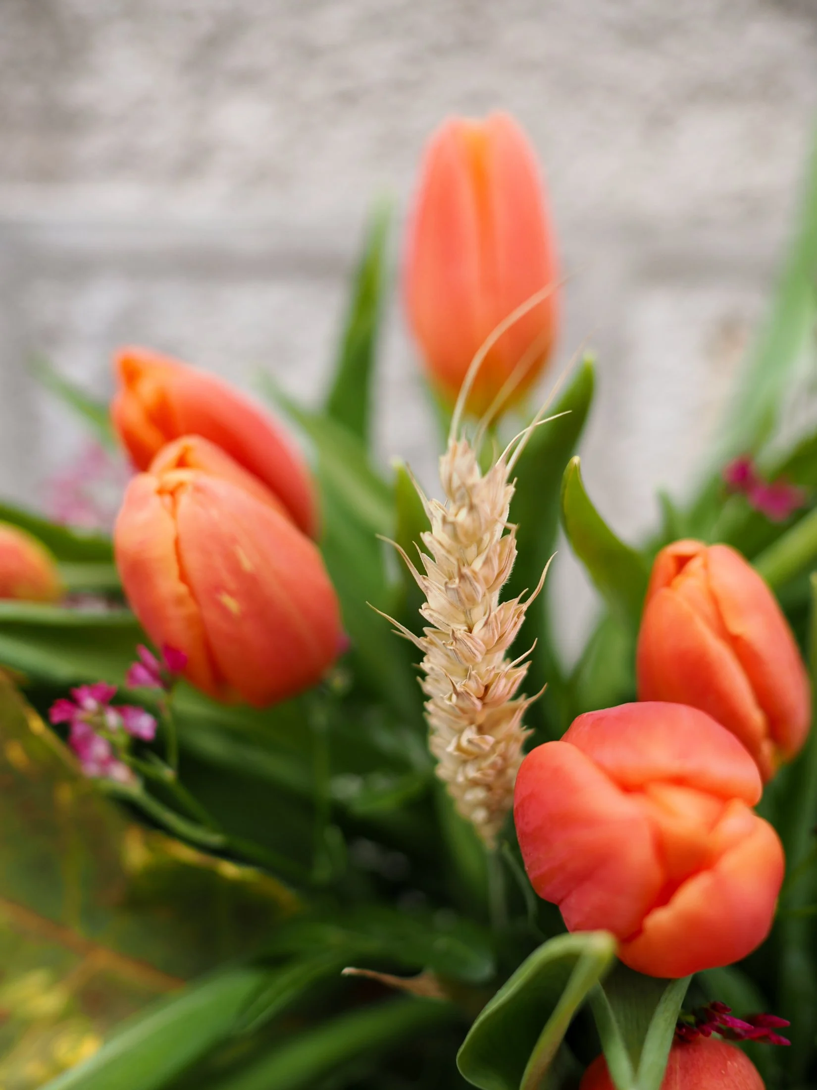 Ramo de Tulipanes Naranjas