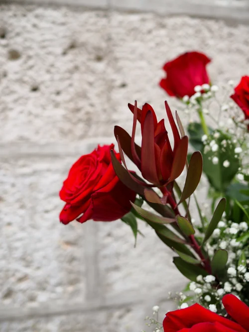 Ramo de Rosas Rojas